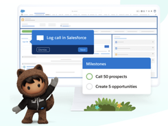 Salesforce Enablement Screenshot 1