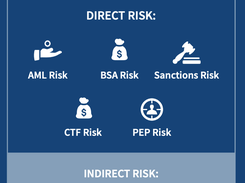 LexisNexis AML Insight Screenshot 1