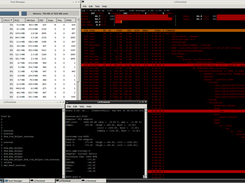 lfsHost-distro Screenshot 2