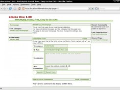 The form for commenting on a page.