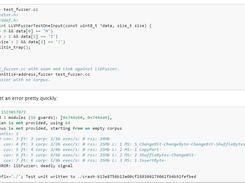 LibFuzzer Screenshot 1