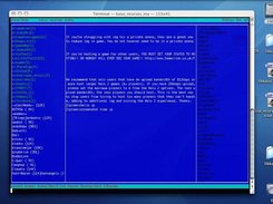 ncurses ui using libkaiui