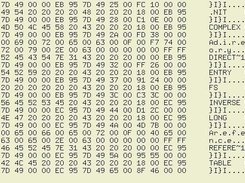 ouput of: fattool fat12 hex 1