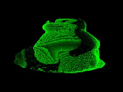 Reconstructed Tux pointcloud