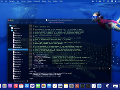 Lifofinn Screenshot 1