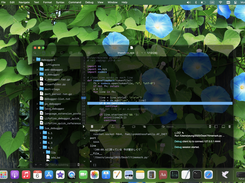 Lifofinn Screenshot 3