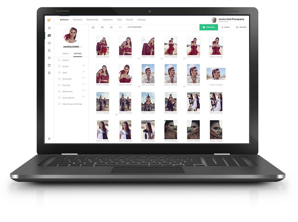 Lightfolio Screenshot 1