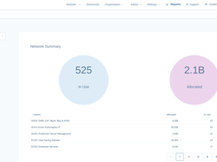 Network Summary report usage