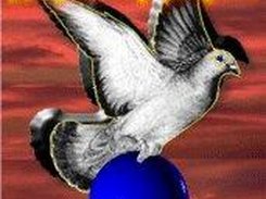 Lightning Pigeon Logo