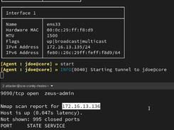 Ligolo-ng Screenshot 1