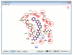 LigPlot+ Screenshot 1