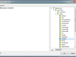 Text Item Editor