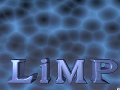 Default screen of LiMP after booting.