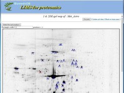  the window of “1&2DE-gel map 