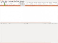 Torrents window