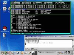 Linice debugger breaking under X-Window