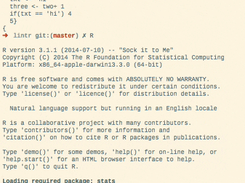 lintr Screenshot 1