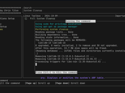 LinUtil Screenshot 1
