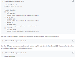 Linux Exploit Suggester 2 Screenshot 1