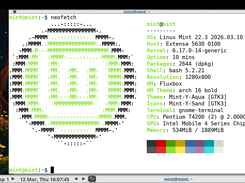Linux Mint Fluxbox Screenshot 1