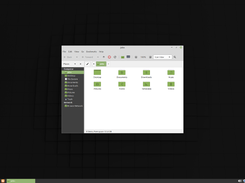 Linux Mint Screenshot 3