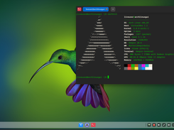 Deepin Desktop