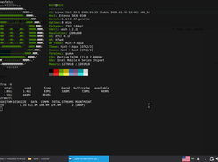 LinuxMint 22.3 XFCE RU/EN Screenshot 1