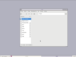 Paranoid Linux Screenshot 2