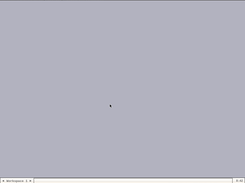 Paranoid Linux Screenshot 1