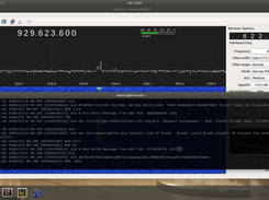 Decode pager data