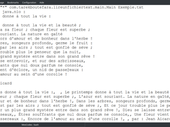 Exécution avec un fichier texte (joint au code source)