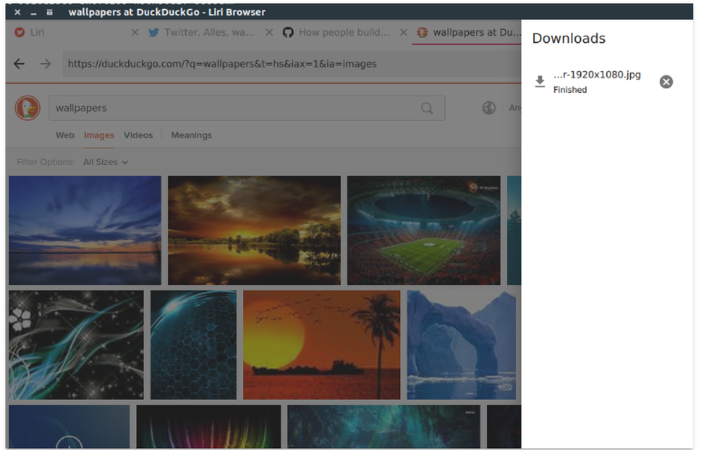 Liri Browser Screenshot 1