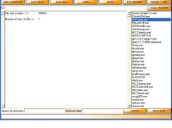 Example of Search *.exe Feature