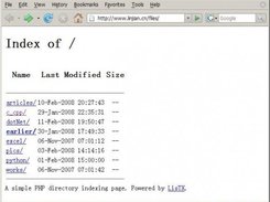 Run at FireFox, Windows