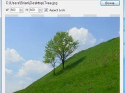 LiteImgResizer with a beautiful tree on a hill