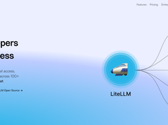 LiteLLM Screenshot 1