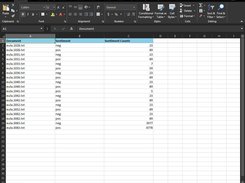 Sentiment Analysis