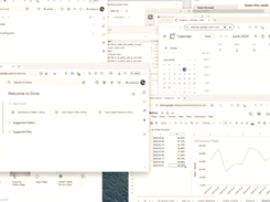 Littlebird Screenshot 1