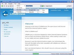 Some of the features that LittleBrowse employs.