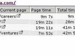 Monitor visitor traffic on your website. Live !