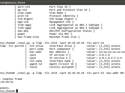 Creating a Chassis ID and a Port ID TLV