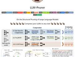 LLM-Pruner Screenshot 1