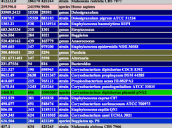 LMAT Screenshot 2