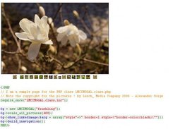 LMCIMGGAL sample page with used php code
