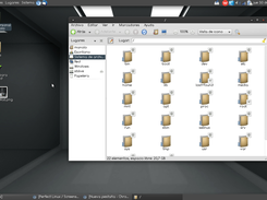 PLINX Perfect Linux v10.0 Screenshot 4