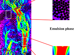 DNS of  Fluidization