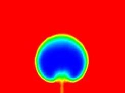 TFM of Bubble Fluidization