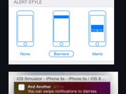 LNNotificationsUI Screenshot 1