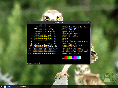 Loc-OS Linux Screenshot 1