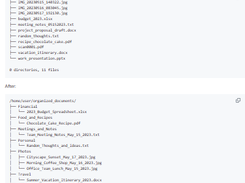 Local File Organizer Screenshot 1